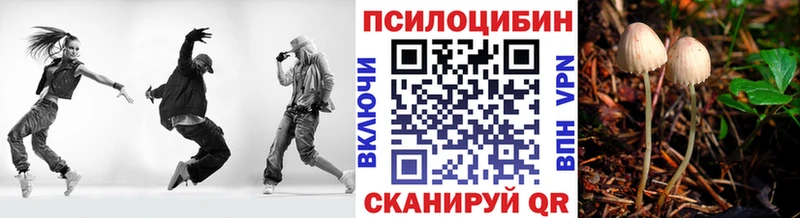 Псилоцибиновые грибы Psilocybe  купить  цена  Великий Устюг 